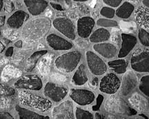 A blissful summer retreat